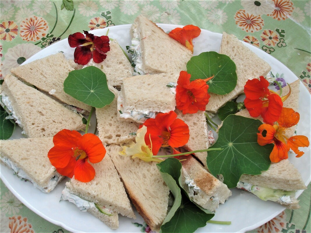 Plate of nasturtium sandwiches